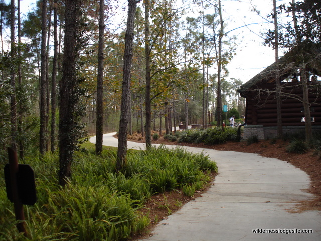 Path to bus stops and trails
